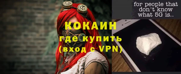 кокс Алексин