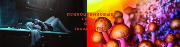 кокс Алексин