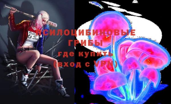 PSILOCYBIN Алзамай