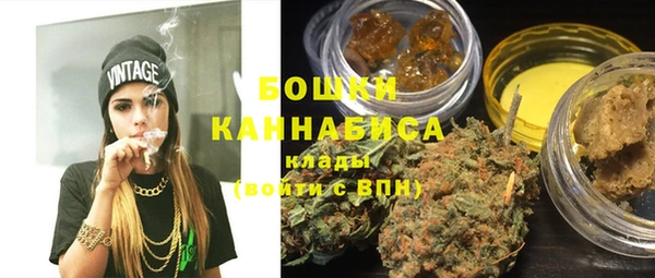 PSILOCYBIN Алзамай