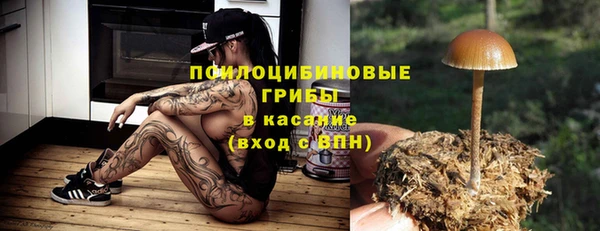 кокс Алексин