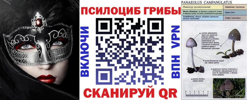 наркота  Елизаветинская  даркнет формула  Псилоцибиновые грибы прущие грибы 